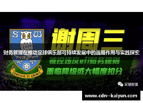 财务管理在推动足球俱乐部可持续发展中的战略作用与实践探索 财务管理在推动足球俱乐部可持续发展中的战略作用与实践探索