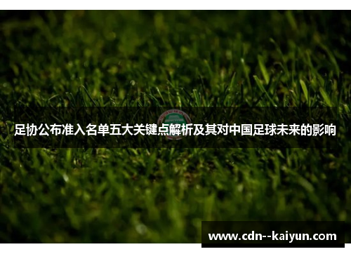 足协公布准入名单五大关键点解析及其对中国足球未来的影响 足协公布准入名单五大关键点解析及其对中国足球未来的影响