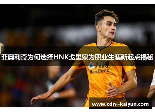 菲奥利奇为何选择HNK戈里察为职业生涯新起点揭秘 菲奥利奇为何选择HNK戈里察为职业生涯新起点揭秘