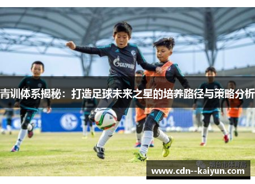 青训体系揭秘：打造足球未来之星的培养路径与策略分析